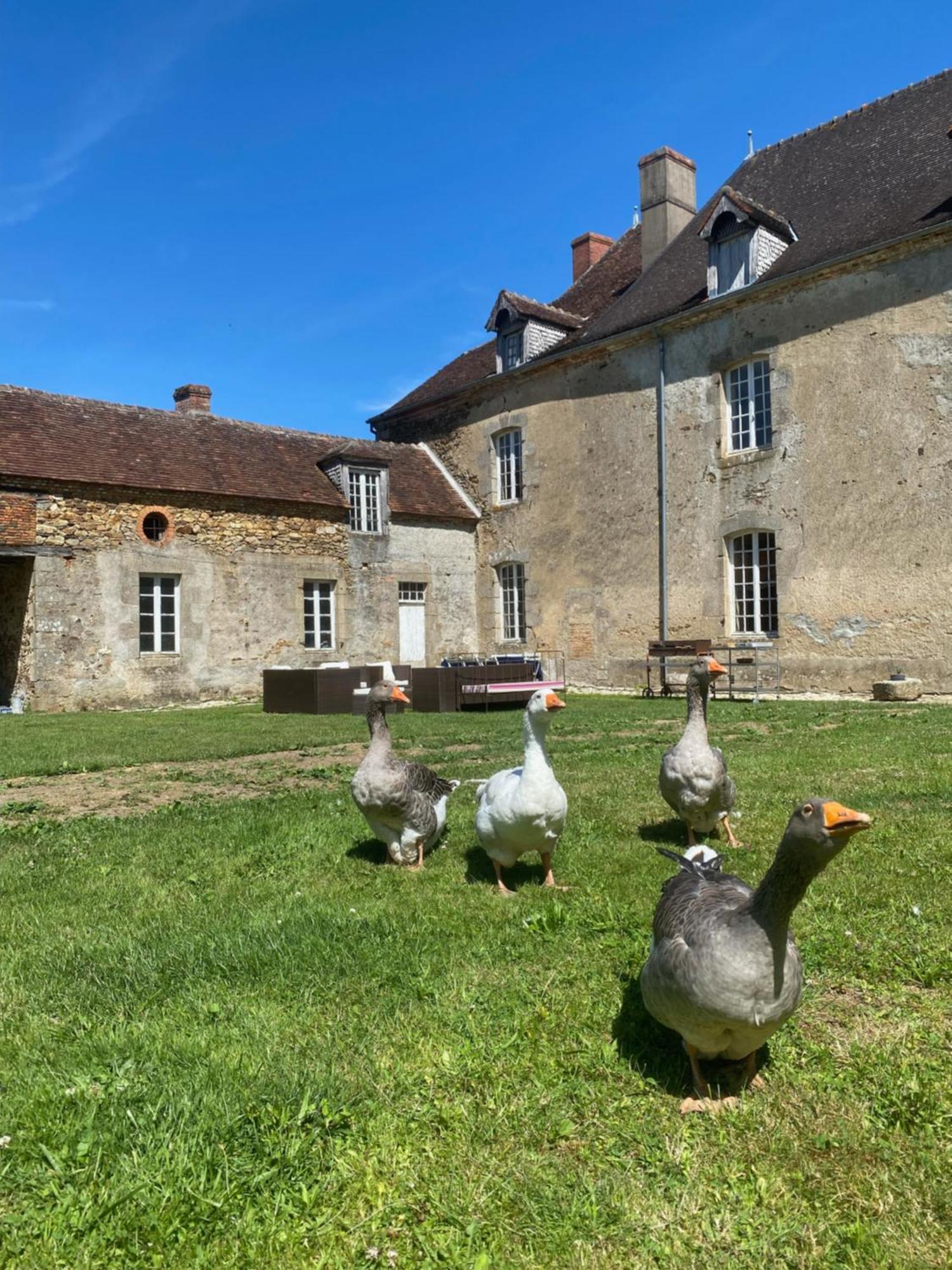 Chateau De Grandsagne Bonnat Zewnętrze zdjęcie
